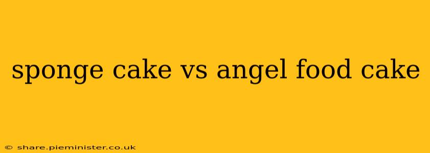 sponge cake vs angel food cake
