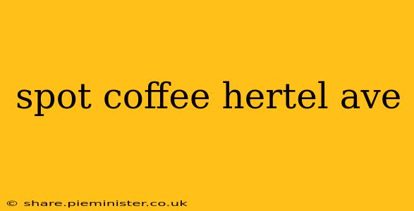 spot coffee hertel ave
