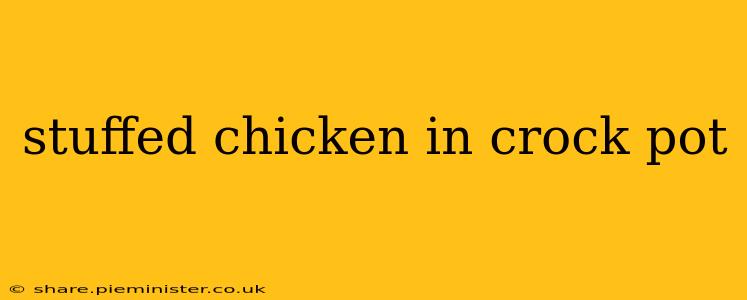stuffed chicken in crock pot
