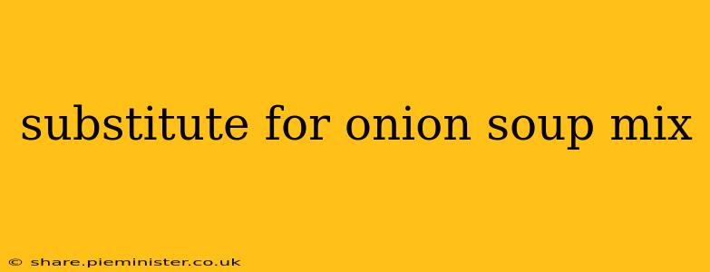 substitute for onion soup mix