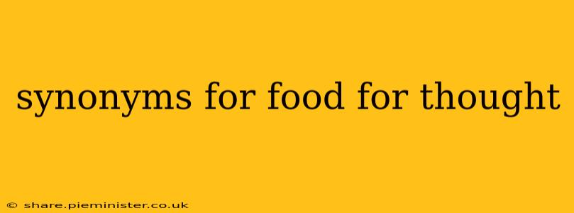 synonyms for food for thought