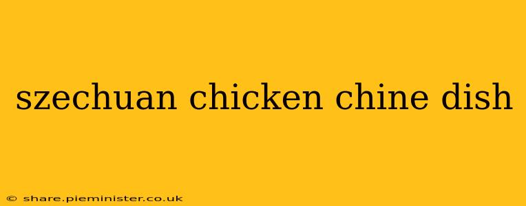 szechuan chicken chine dish