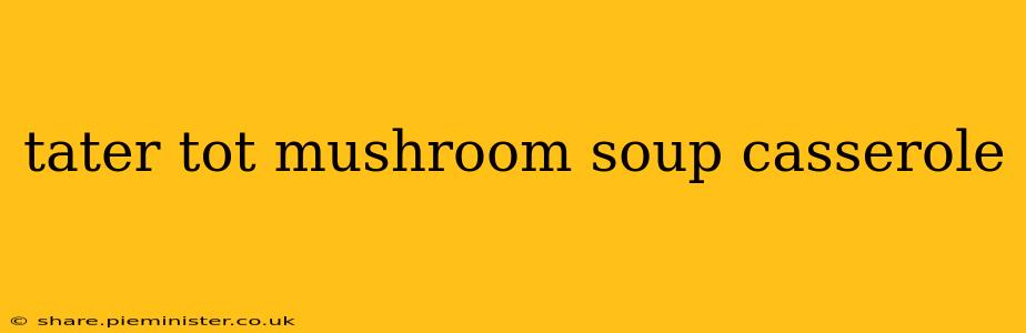 tater tot mushroom soup casserole