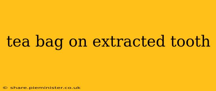 tea bag on extracted tooth