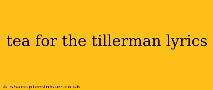 tea for the tillerman lyrics