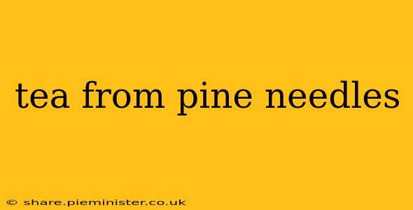 tea from pine needles