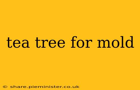 tea tree for mold