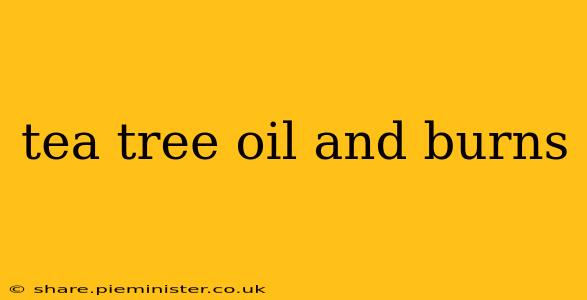 tea tree oil and burns