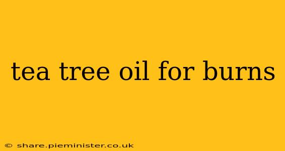 tea tree oil for burns
