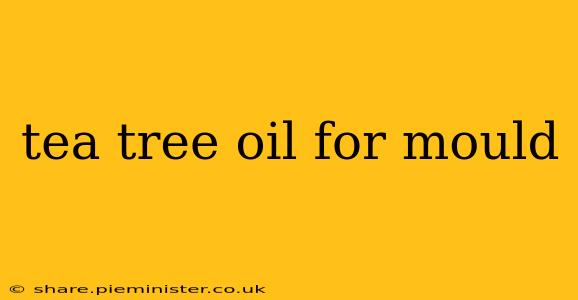 tea tree oil for mould