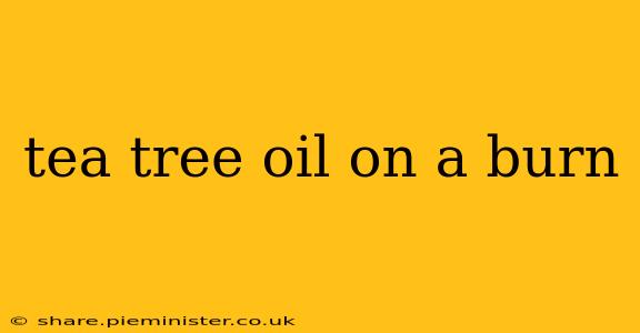 tea tree oil on a burn
