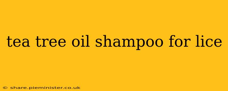 tea tree oil shampoo for lice