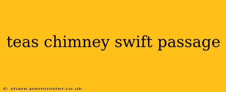 teas chimney swift passage