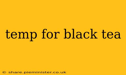temp for black tea