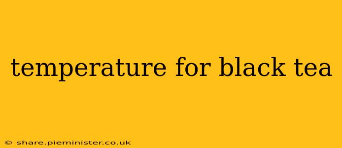 temperature for black tea