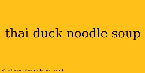 thai duck noodle soup
