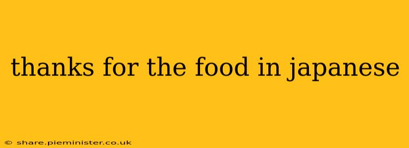 thanks for the food in japanese