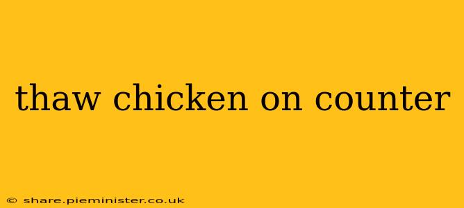 thaw chicken on counter