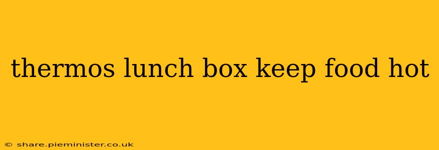 thermos lunch box keep food hot