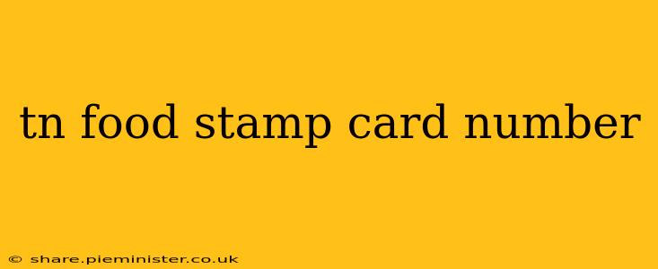 tn food stamp card number