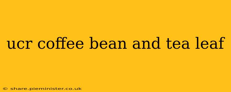 ucr coffee bean and tea leaf