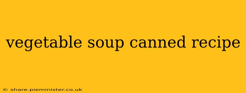 vegetable soup canned recipe