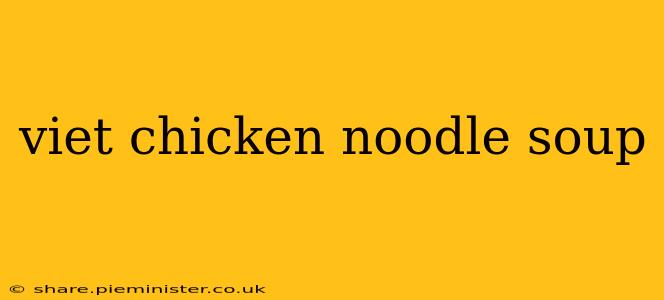 viet chicken noodle soup
