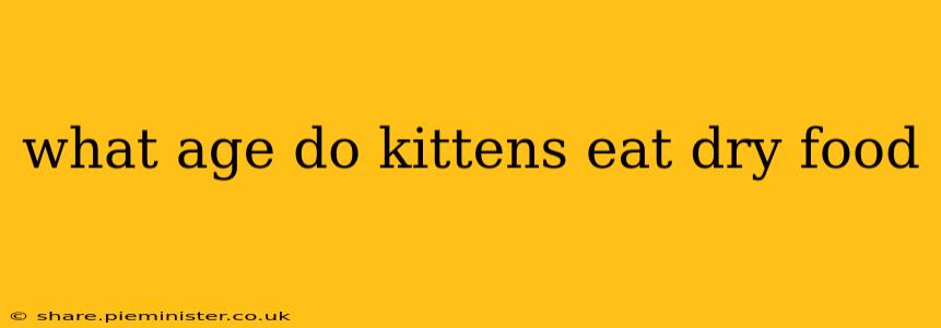 what age do kittens eat dry food