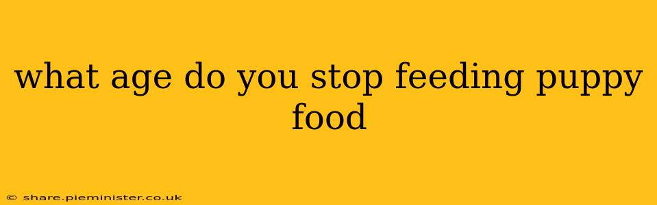 what age do you stop feeding puppy food