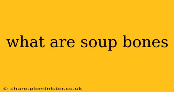 what are soup bones