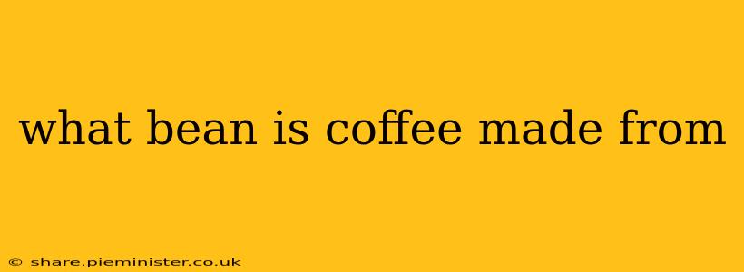 what bean is coffee made from