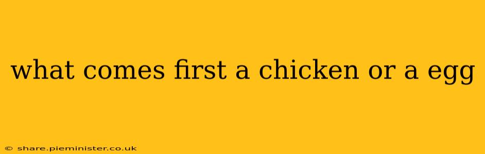 what comes first a chicken or a egg