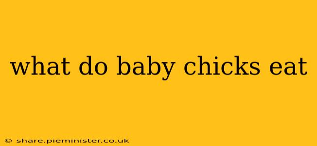 what do baby chicks eat