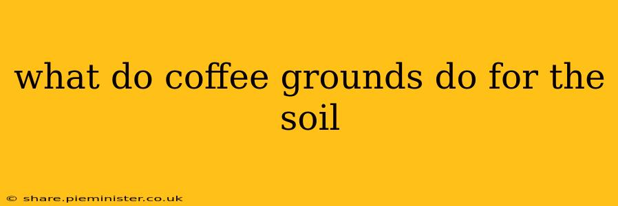 what do coffee grounds do for the soil