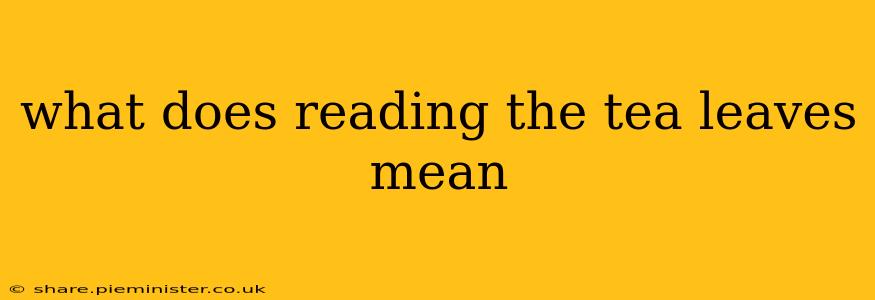 what does reading the tea leaves mean