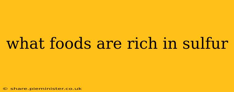 what foods are rich in sulfur