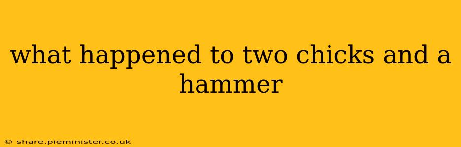 what happened to two chicks and a hammer