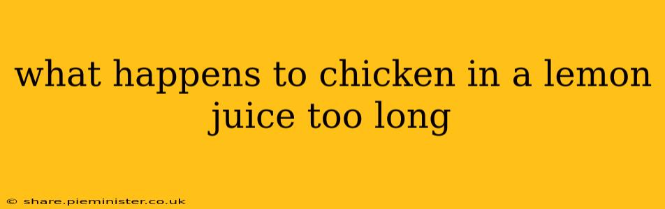 what happens to chicken in a lemon juice too long