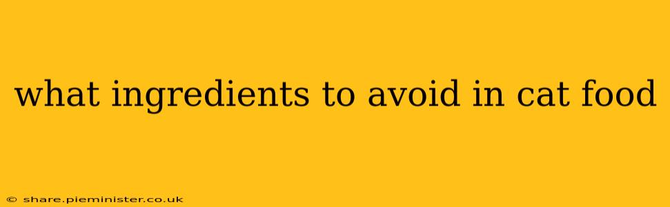 what ingredients to avoid in cat food