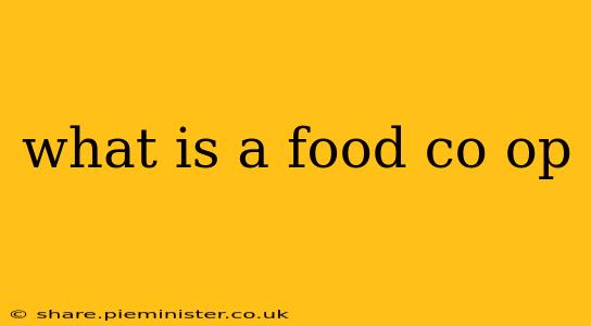 what is a food co op