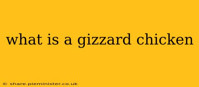 what is a gizzard chicken