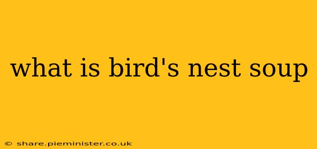 what is bird's nest soup