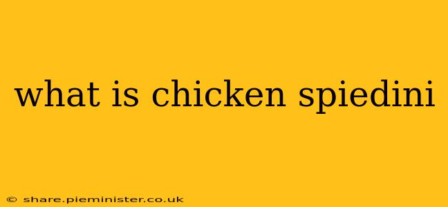 what is chicken spiedini
