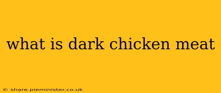 what is dark chicken meat