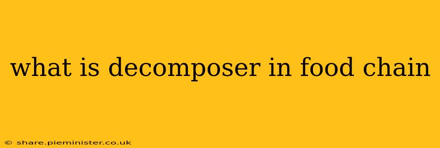 what is decomposer in food chain