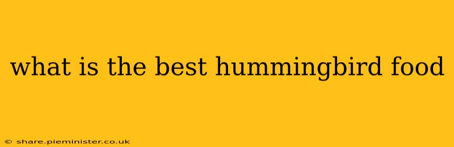 what is the best hummingbird food