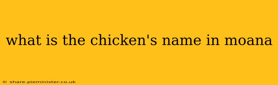 what is the chicken's name in moana