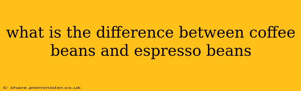 what is the difference between coffee beans and espresso beans