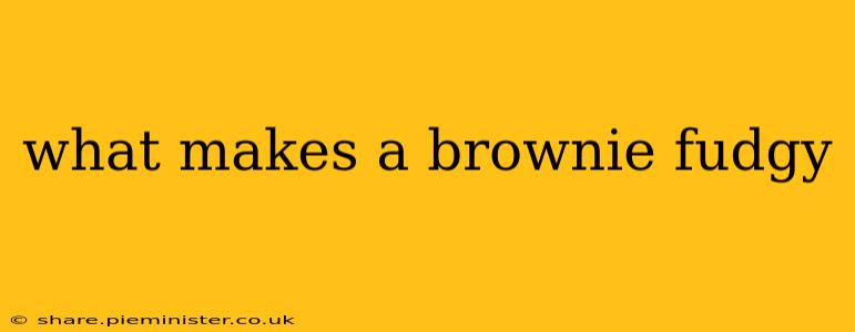 what makes a brownie fudgy