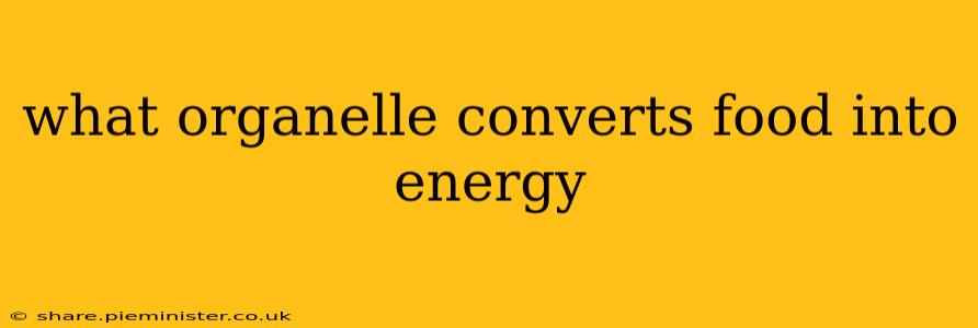 what organelle converts food into energy
